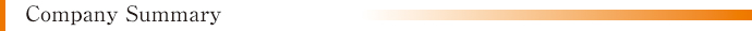 Company Summary