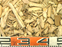 Wood chip